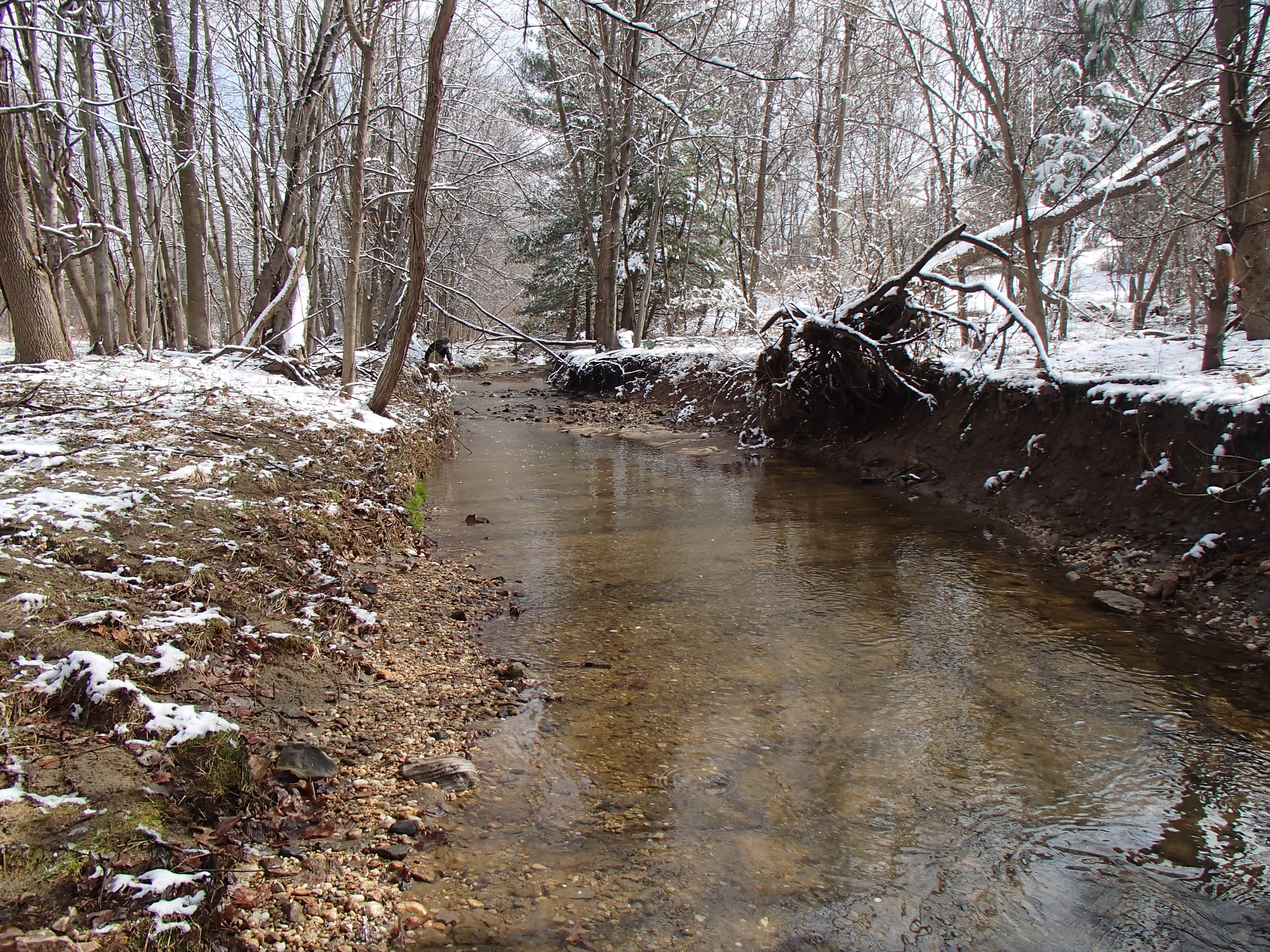 Field photo showing stream conditions at site LPAX-294-X-2016_Midpoint looking upstream